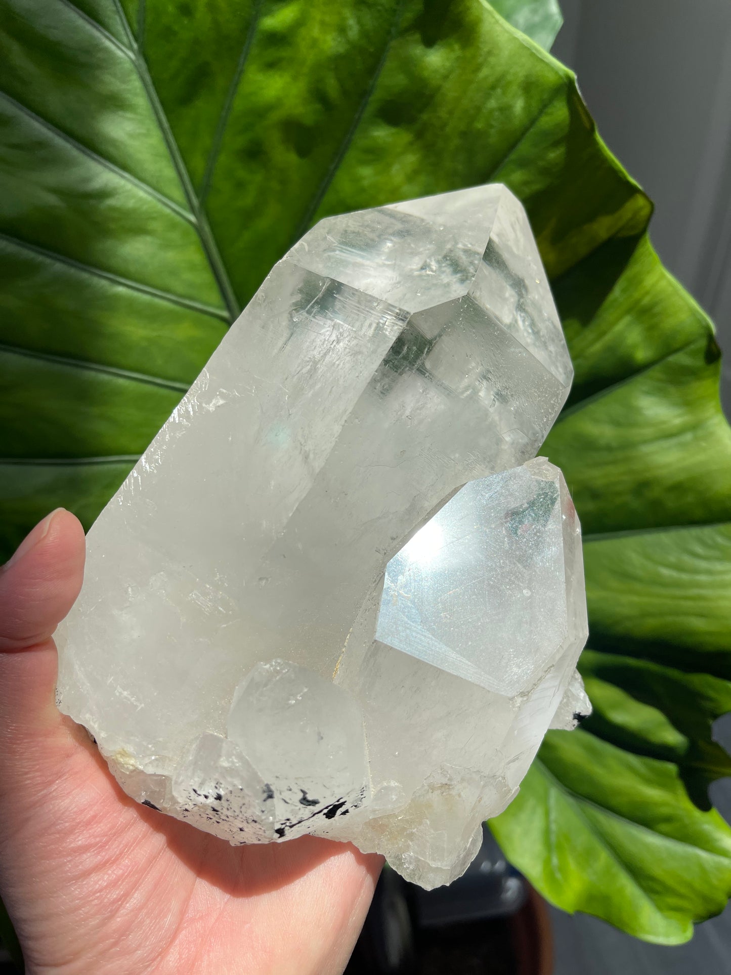 Lemurian Quartz Cluster