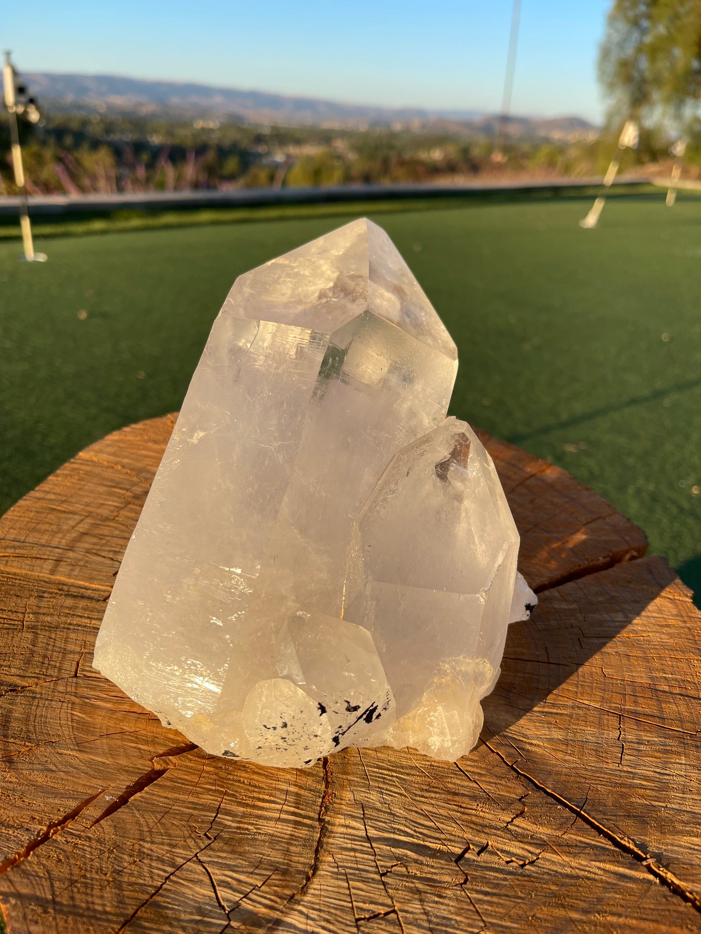 Lemurian Quartz Cluster